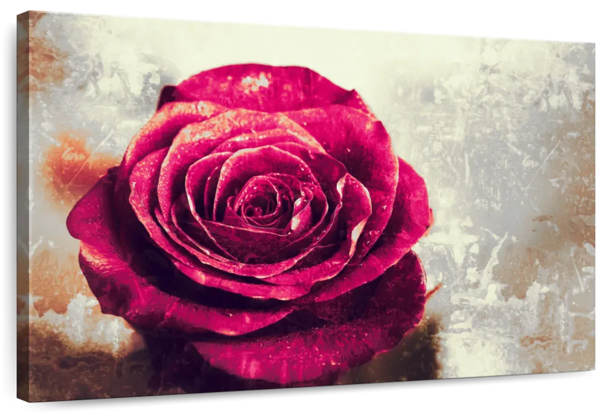 Textured Grunge Rose Wall Art